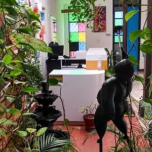 Pensión Casa Blanca San Antonio Boutique
